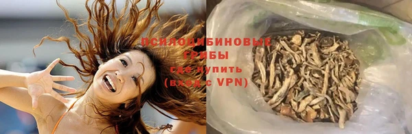 шишки Балахна