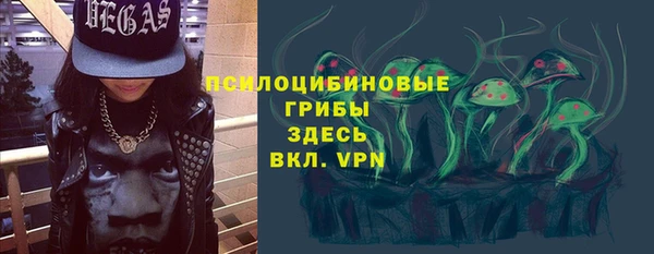 шишки Балахна