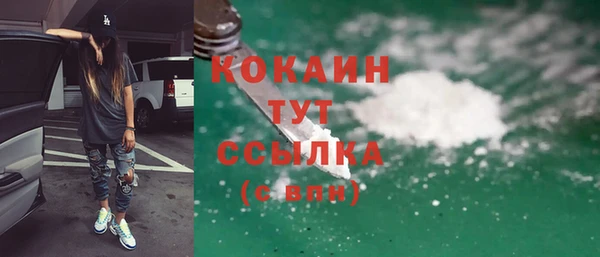 шишки Балахна