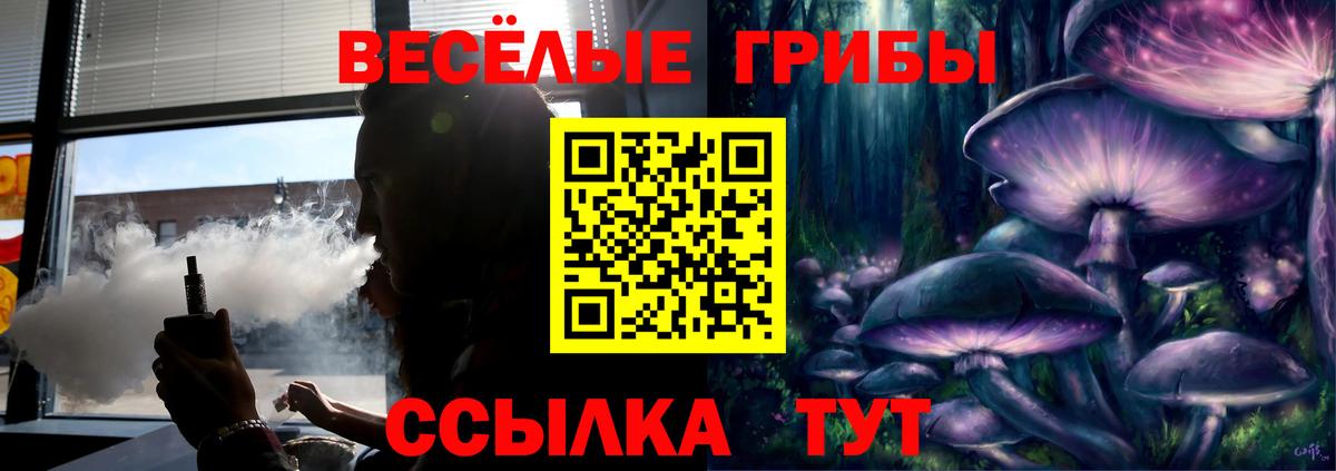 Псилоцибиновые грибы Cubensis Коммунар